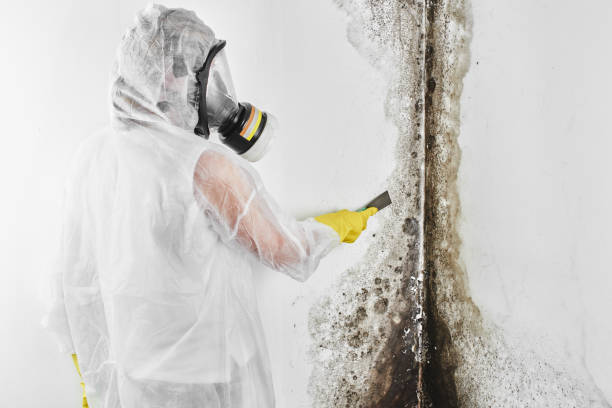 Best Mold Testing  in Sumas, WA
