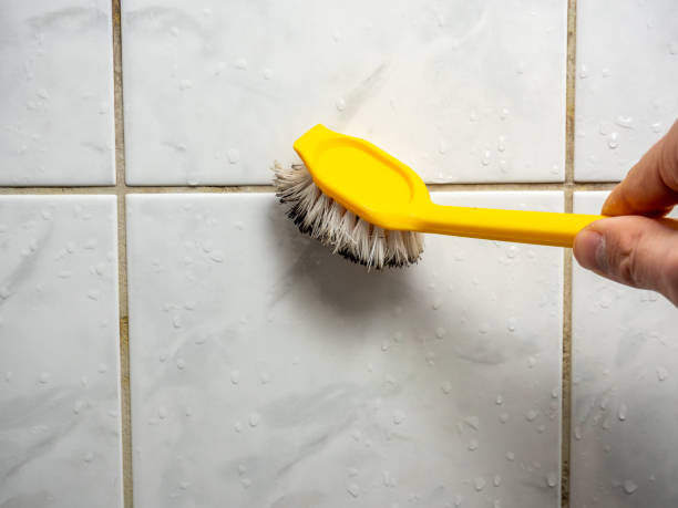 Best Fast Mold Removal  in Sumas, WA