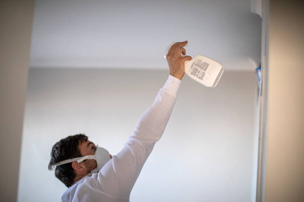 Best Emergency Mold Removal  in Sumas, WA