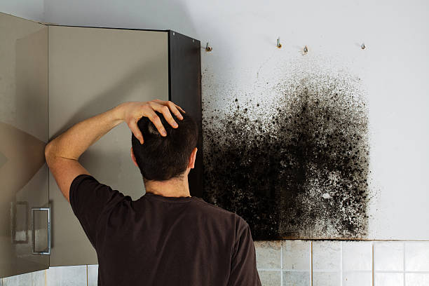 Best Residential Mold Removal  in Sumas, WA